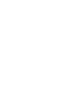 Fire Icon